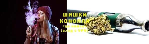 шишки Армянск