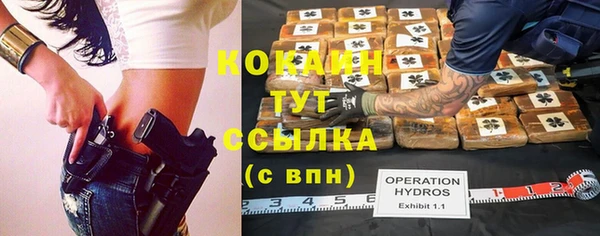 шишки Армянск
