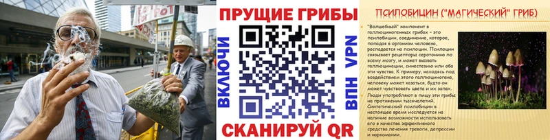 это Telegram  hydra   Галлюциногенные грибы Psilocybe  Оленегорск  купить наркотик 