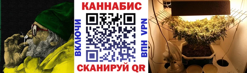Шишки марихуана SATIVA & INDICA  Оленегорск 